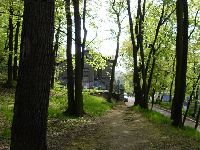 bezpečně domů 3.jpg