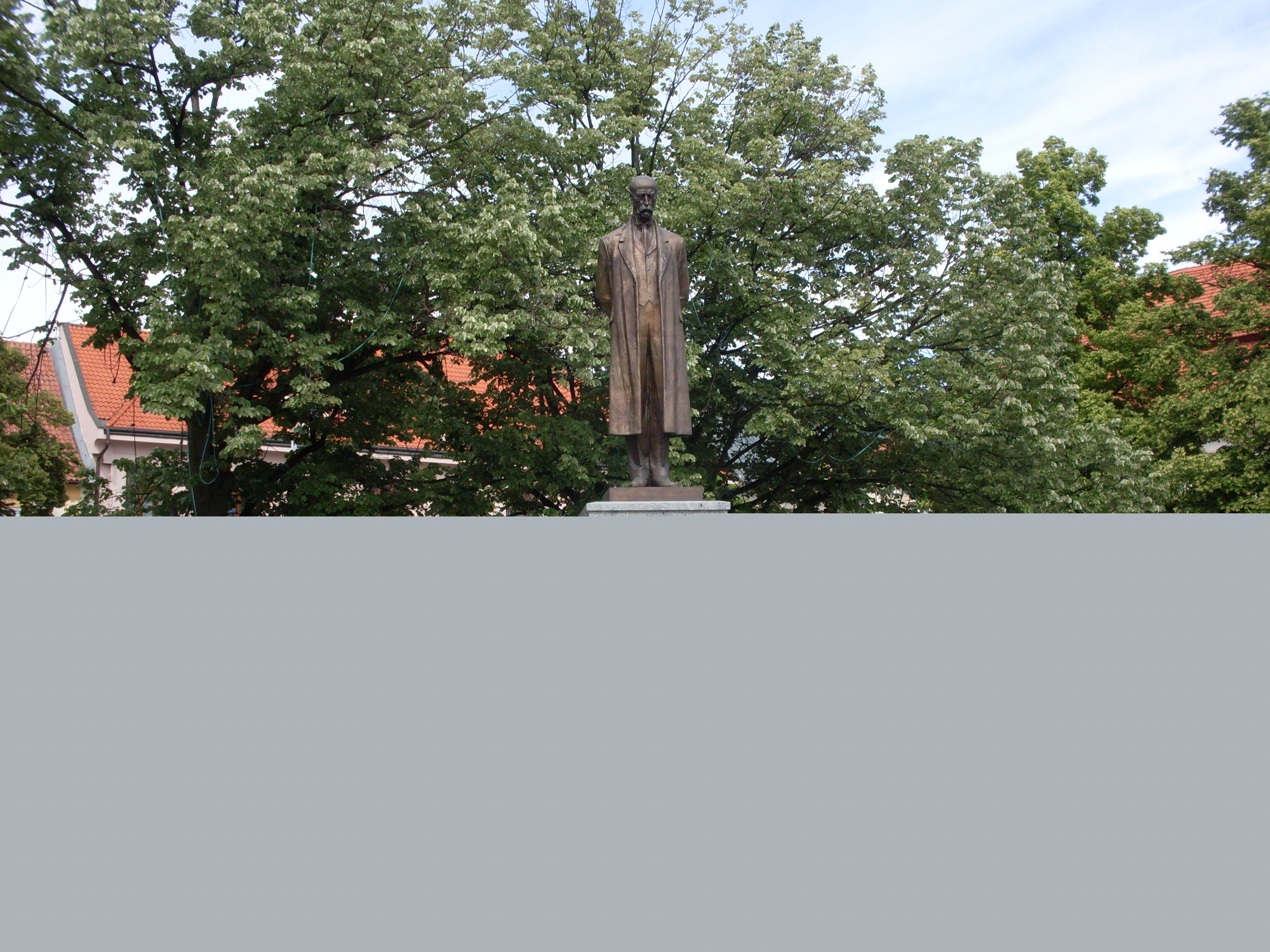 SDC10564.JPG