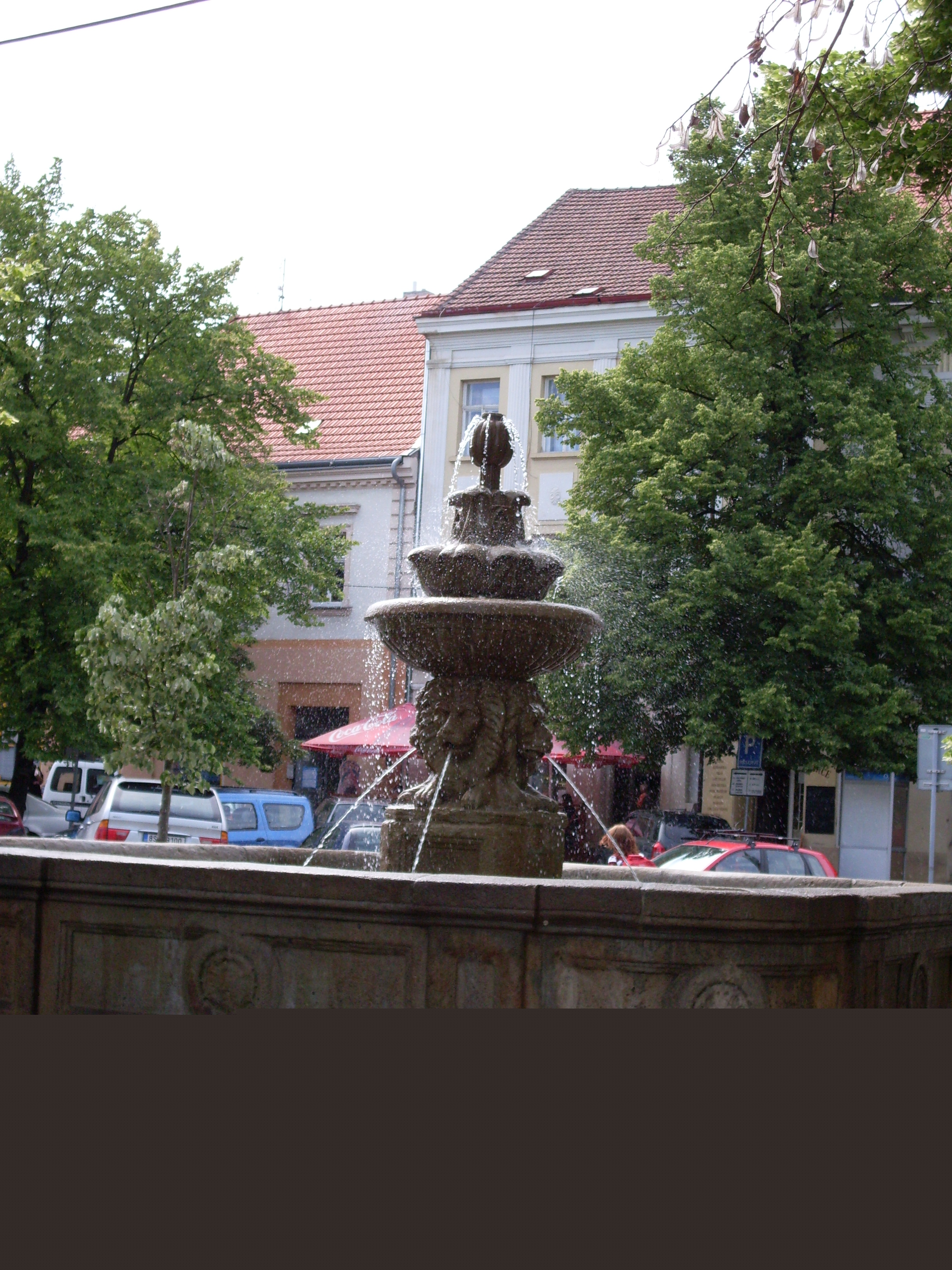 SDC10569.JPG