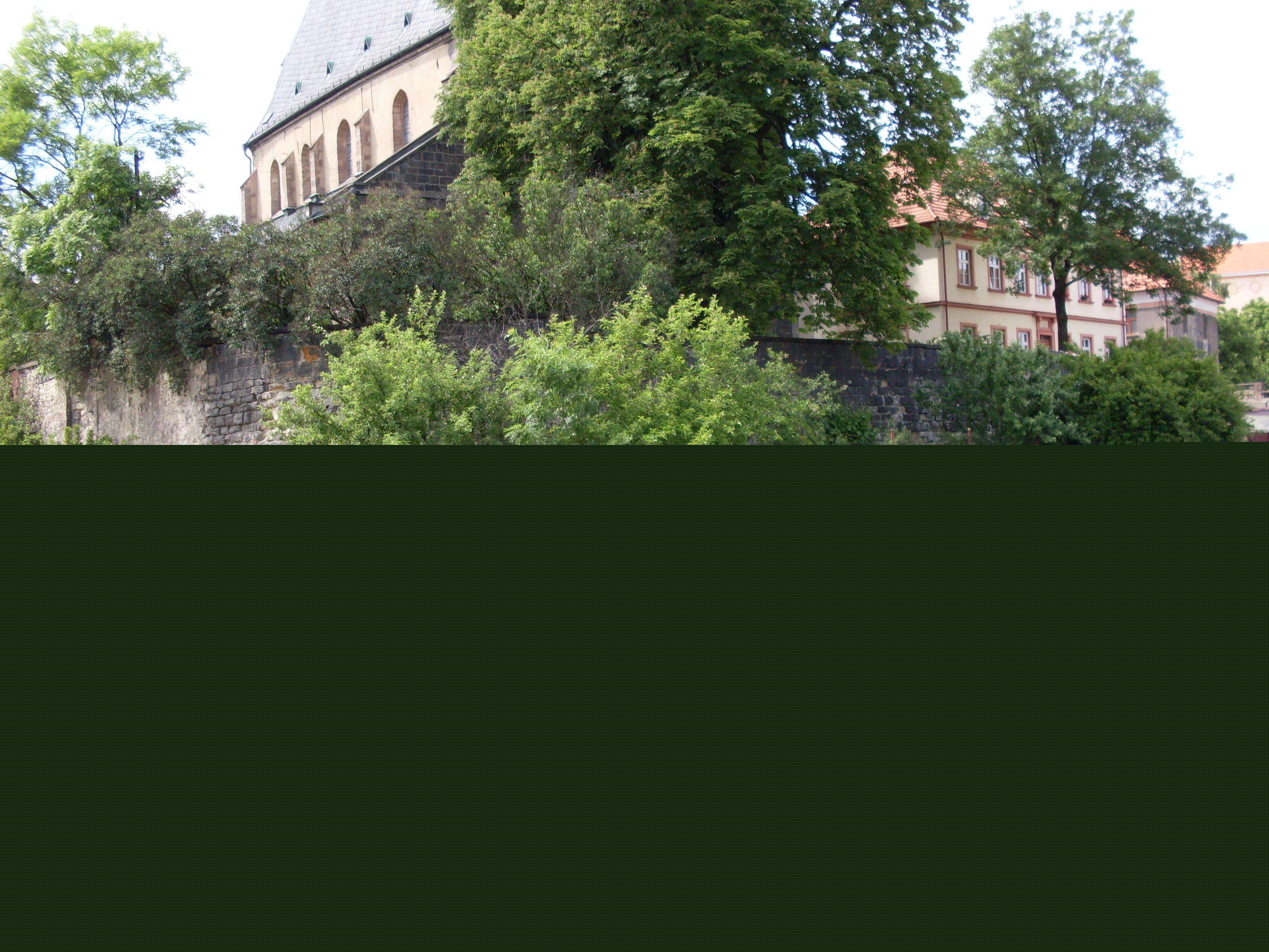SDC10554.JPG