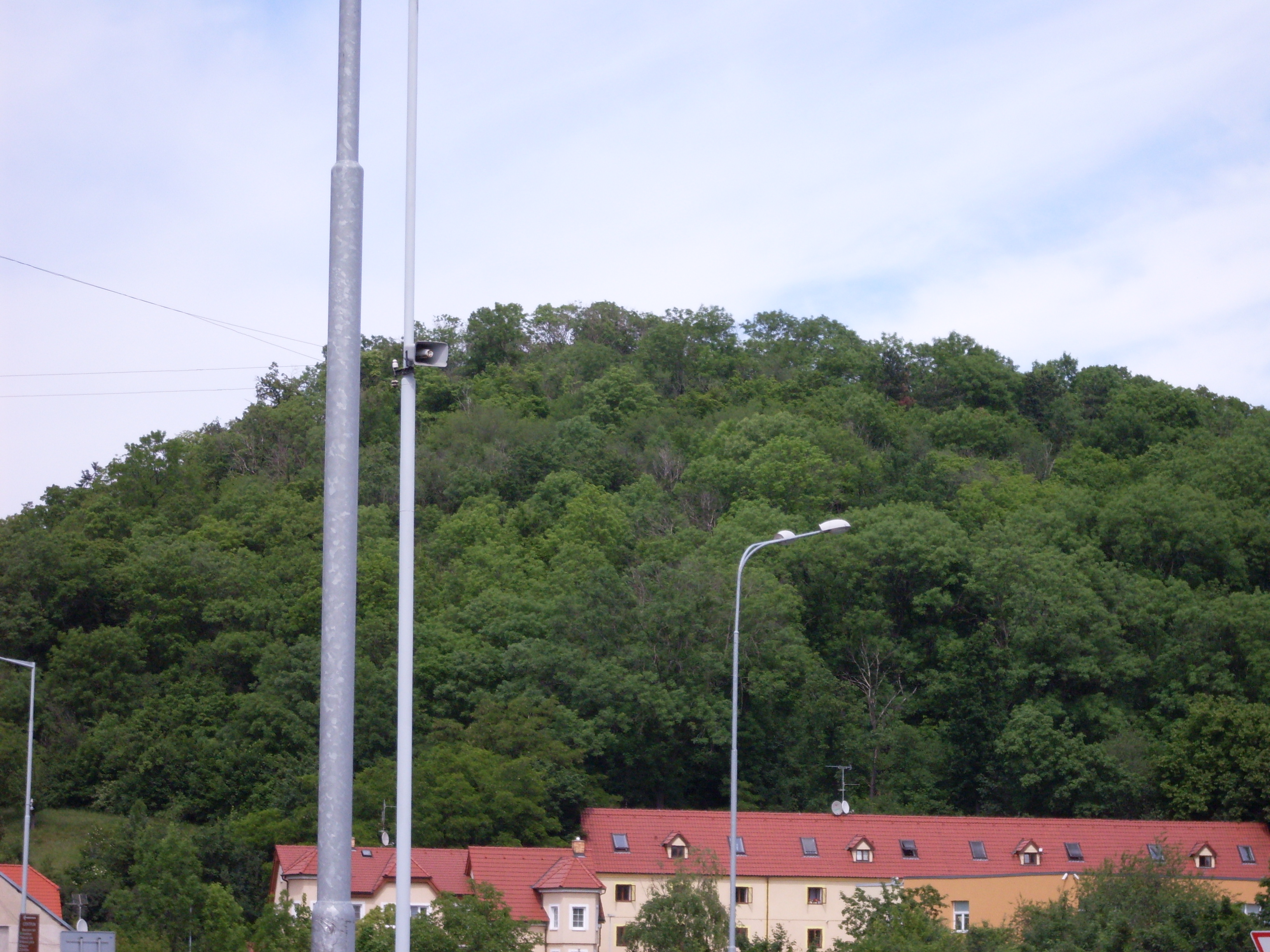 SDC10552.JPG